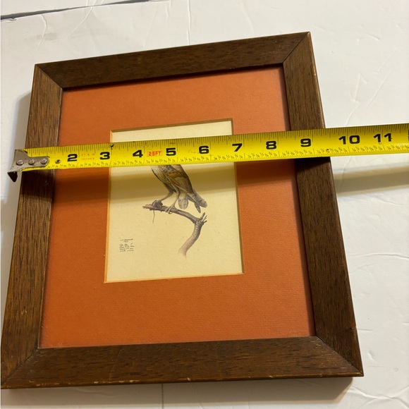 J. F. LANSDOWNE Matted and Framed Print Tyto alba Barn Owl 1967 - Picture 5 of 11